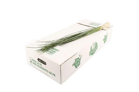 <h4>Xerophyllum tenax Beargrass per bos</h4>