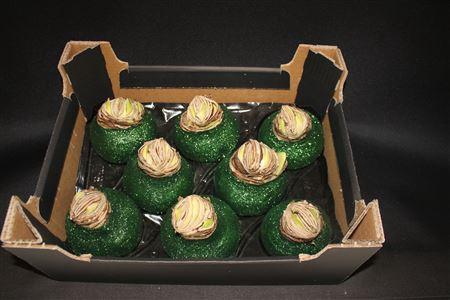 <h4>Amaryllis Topl Den Groen</h4>