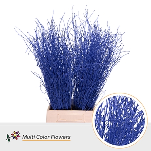 Berk Blauw Donker