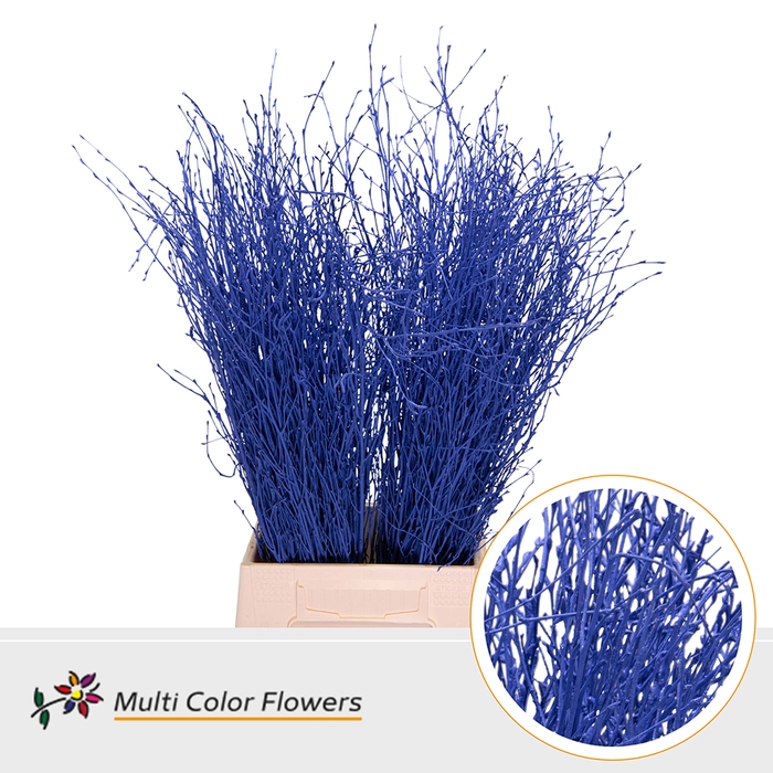 <h4>Berk Blauw Donker</h4>