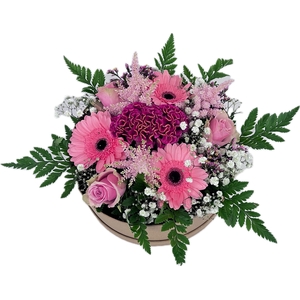 Arr. hatbox pastel roze 22+