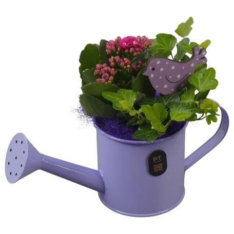 <h4>PTIB5326 Arrangement Indoor in metalen gieter</h4>