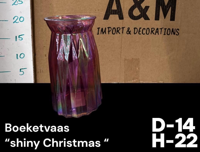 <h4>GLAZEN VAAS H%</h4>