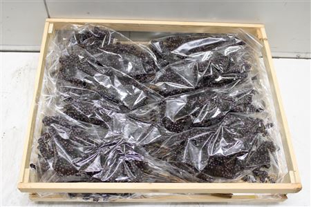 <h4>Wax Bes Bordeaux</h4>
