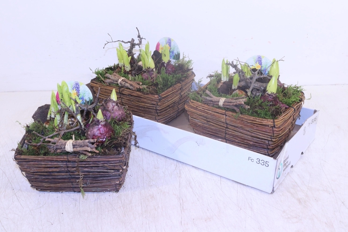 <h4>ARR BOL KNOLGEWAS</h4>