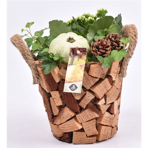 <h4>Arrangementen Sierfruit</h4>