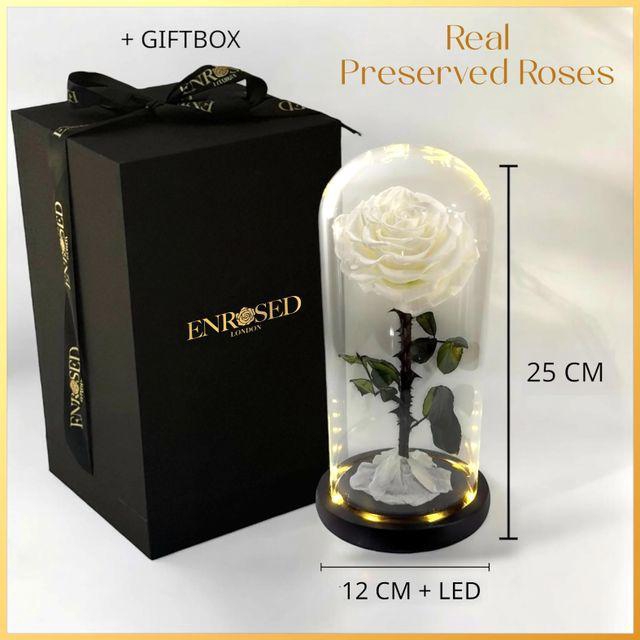 <h4>DECO ROSES WHITE</h4>