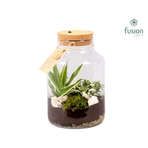 Terrarium met kurk voorzien van LED verlichting