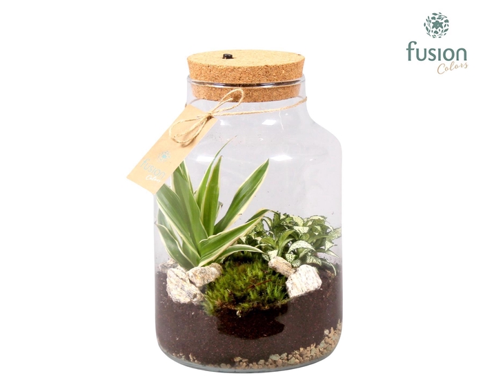 <h4>Terrarium met kurk voorzien van LED verlichting</h4>