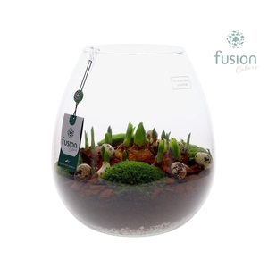 Green Bottle Abby XLarge Pasen met Bollen mix