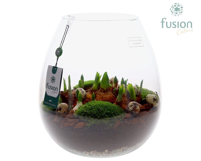 <h4>Green Bottle Abby XLarge Pasen met Bollen mix</h4>