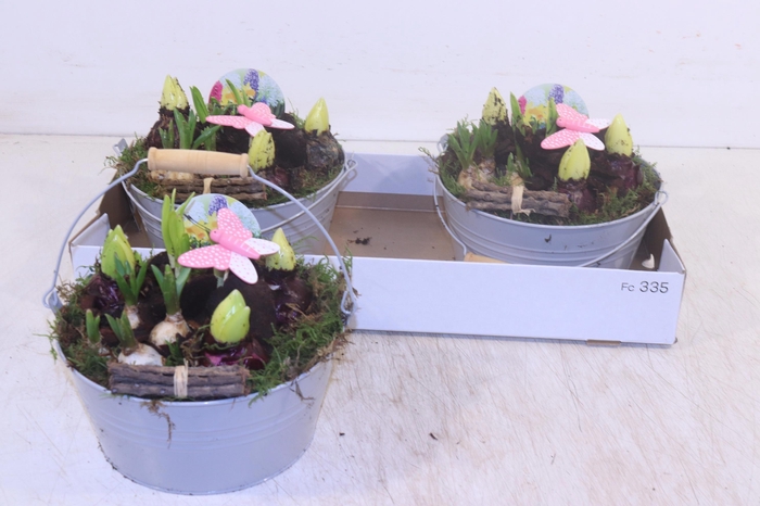 <h4>ARR BOL KNOLGEWAS</h4>