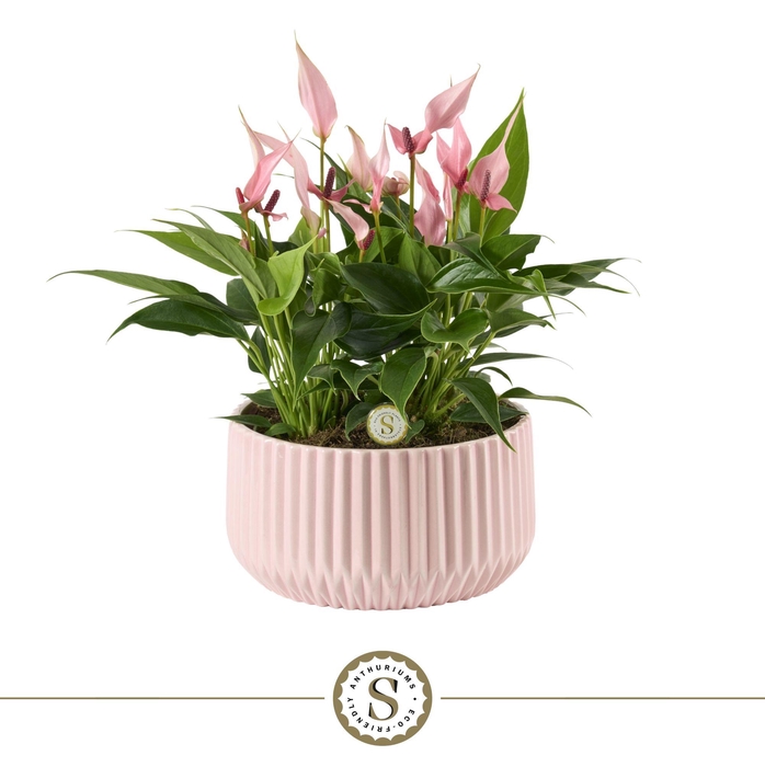 <h4>Table Lilli in Madeira Keramiek</h4>