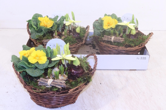 <h4>ARR TUINPLANTEN</h4>