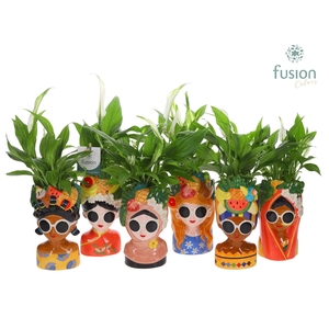 Keramiek Wereldvrouwen met Spathiphyllum