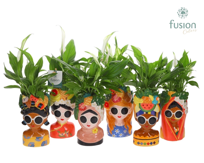 <h4>Keramiek Wereldvrouwen met Spathiphyllum</h4>