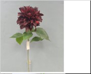 <h4>Af Dahlia Spider L84cm Burgund</h4>