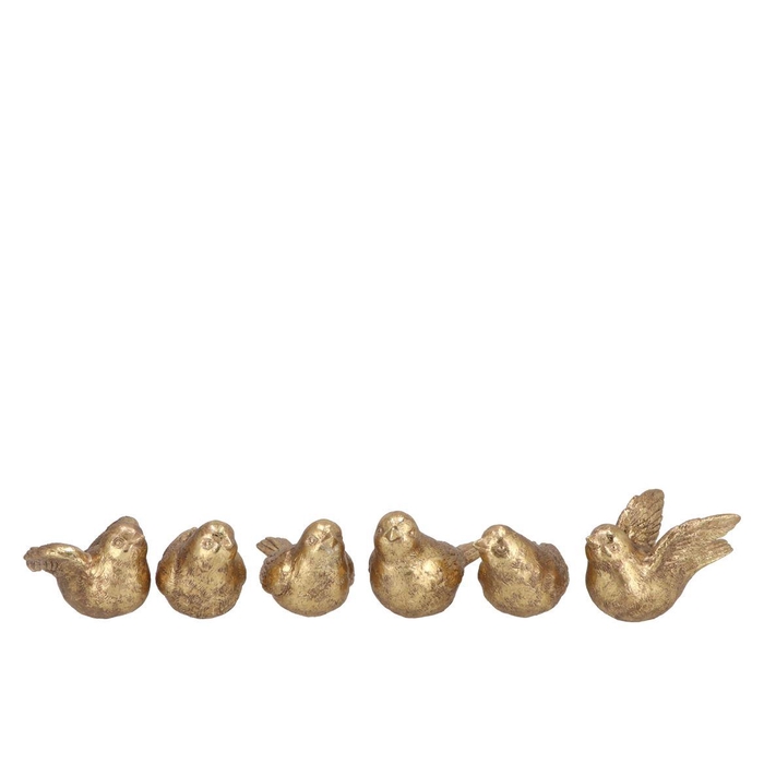 <h4>Deco Humming Bird Gold 6 Assorted 5x5x11cm</h4>