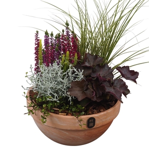 Arr.   Tuinplanten L%