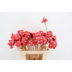 Stick Mushroom Lotus Red
