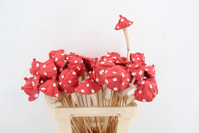 <h4>Stick Mushroom Lotus Red</h4>