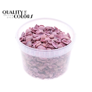 Shells north sea 3 ltr Frosted Pink
