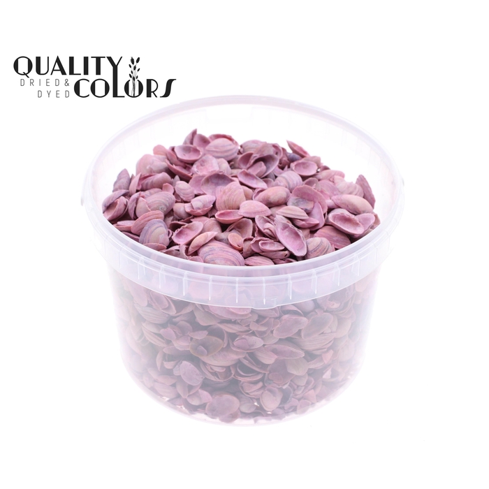 <h4>Shells north sea 3 ltr Frosted Pink</h4>