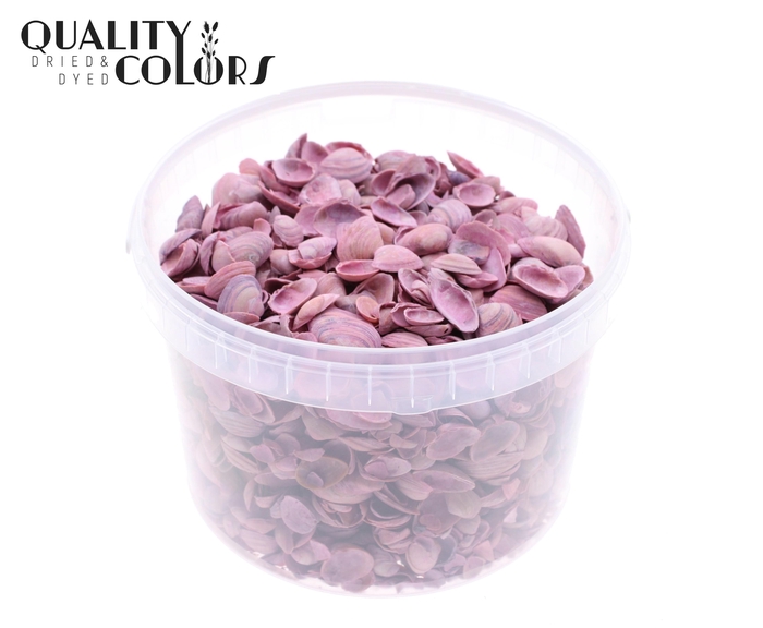 Shells north sea 3 ltr Frosted Pink