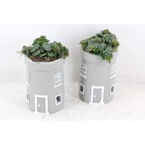 arr3 SN - Lighthouse tower grijs