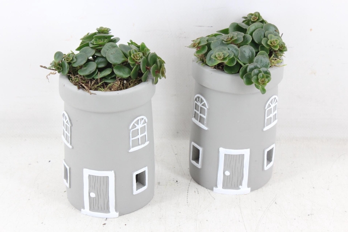 <h4>arr3 SN - Lighthouse tower grijs</h4>