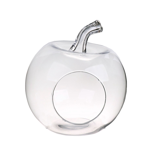 <h4>Terrarium Apple Felesa d24xh26 clear</h4>