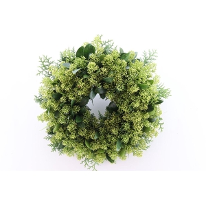 Wr Skimmia White 40cm