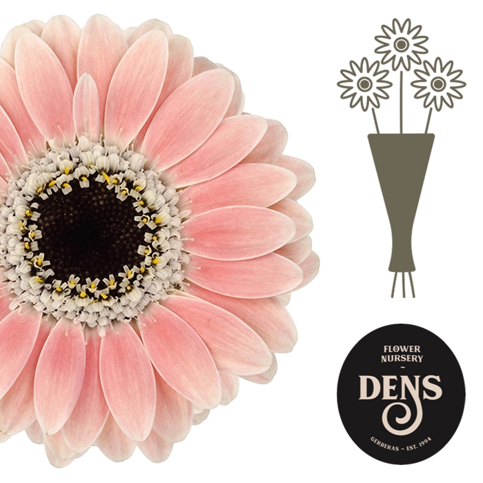 <h4>Nano Molara Water</h4>