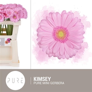 Ge MI Kimsey op water