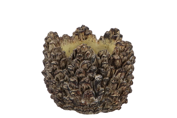 <h4>Concrete Natural Pinecone Pot Round Edge 15x15x11cm Nm</h4>