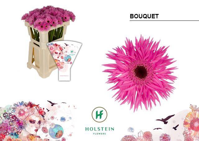 <h4>GE MI BOUQUET</h4>