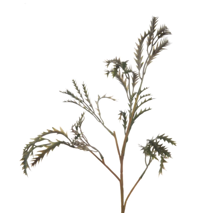 <h4>AF Grevillea L68cm Green</h4>