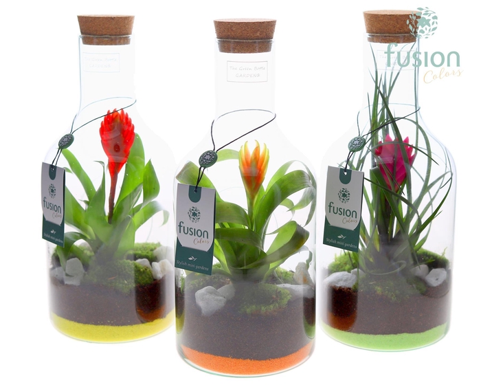<h4>Green Bottle Fles Small met Bromelia</h4>