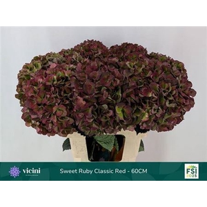 Hydr M Mag Sw Rub Cl