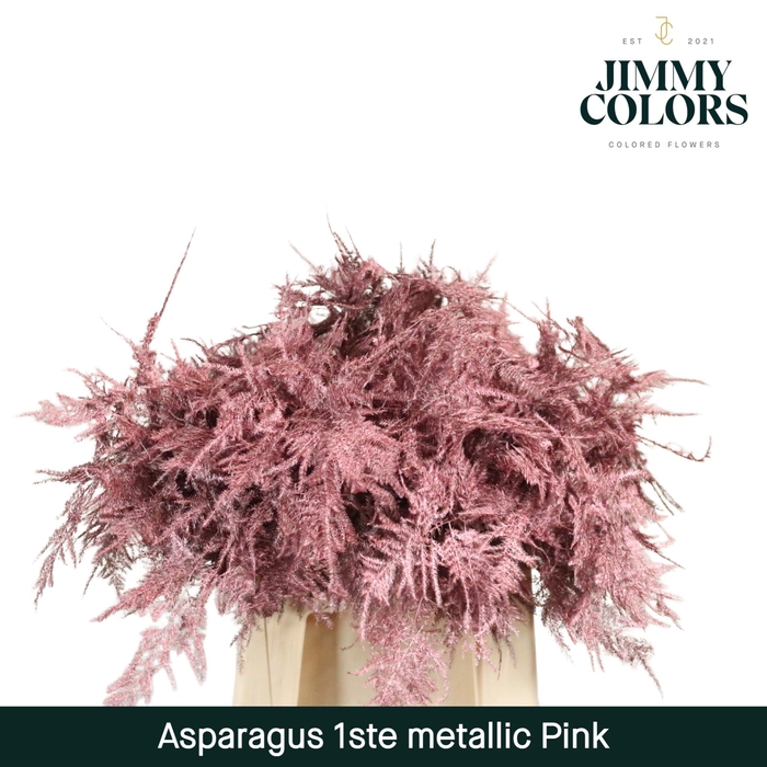 <h4>Aspa 1ste veren Metallic pink</h4>