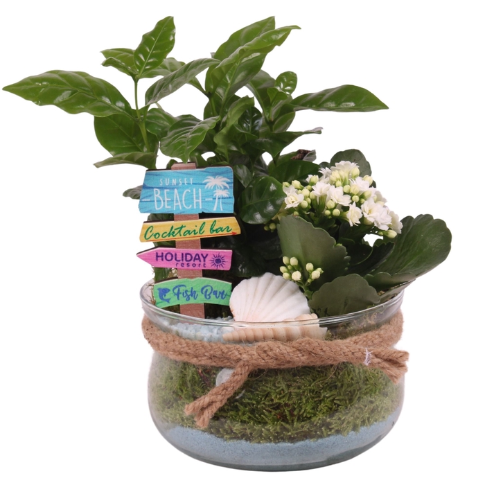 <h4>Opm Maritime Arr. Indoor Glass Bowl With Rope</h4>