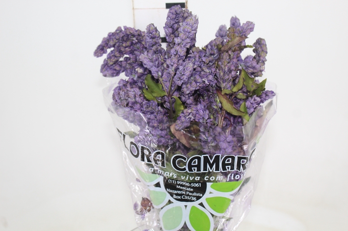 <h4>CAMARAO LILAS 050 CM</h4>