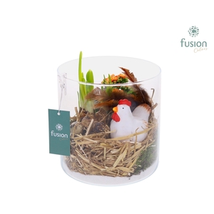 Glas cilinder met Pasen arrangement