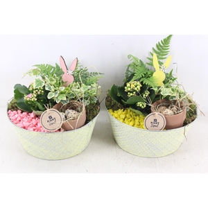 arr2 PL - Zink rond L ruit - geel/roze