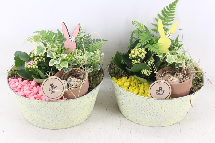 <h4>arr2 PL - Zink rond L ruit - geel/roze</h4>