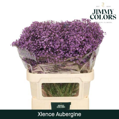 <h4>Gyps Xlence L80 Aubergine</h4>