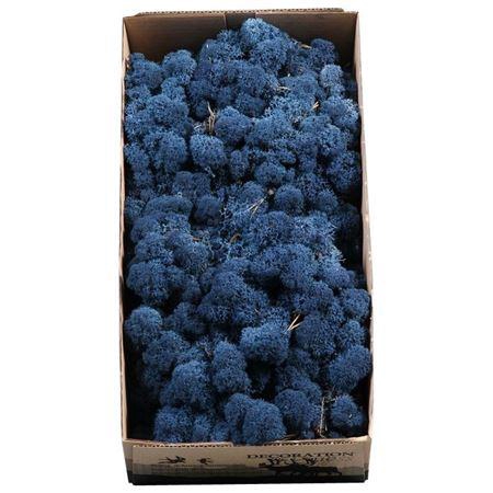 <h4>Ijslandmos (reindeer) Blauw</h4>