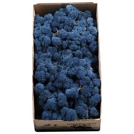<h4>Ijslandmos (reindeer) Blauw</h4>