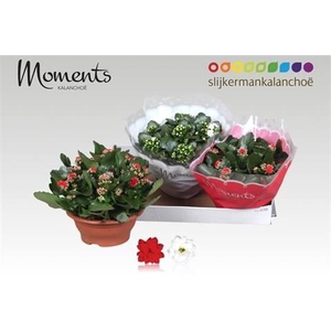 KALAN CALAN XMAS MIX P23