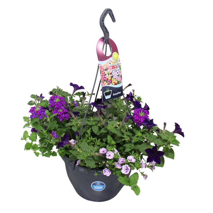 <h4>'Weekaanbieding; Hangpotten 27 waterreservoir mix 01 Blauwe mix</h4>